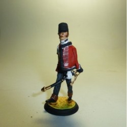 Oficial del 43º Regimiento Gran Bretaña 1810