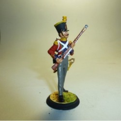 Voltigeur 2º Regimiento Suiza 1815